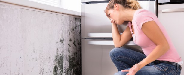 Ako vznikajú a ako na nás vplývajú plesne na stene? Prečítajte si, ako ich odstrániť a zabrániť ich opätovnému vzniku.