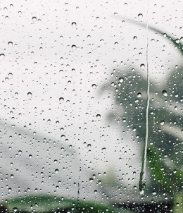 Zbavte sa rosenia okien a plesní. ✓ Pravidelné vetranie, úprava vlhkosti a tepelná izolácia su stavebné piliere zdravého bývania.