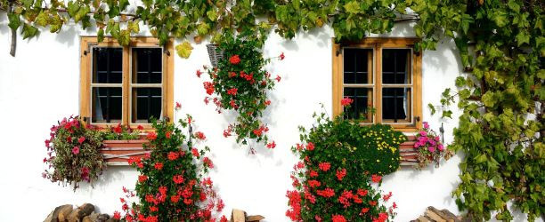 Jednoduché a bezpečné riešenie pre vlhké steny rodinných domov, pivníc alebo chalúp. Postup krok za krokom.